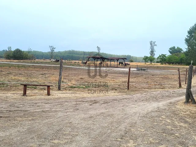 Eladó ház Mikebuda 132 nm