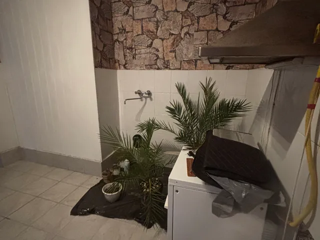 Eladó lakás Tiszavasvári 63 nm