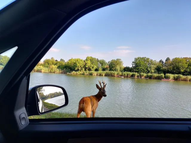 Eladó telek Szolnok, Tenyősziget 800 nm