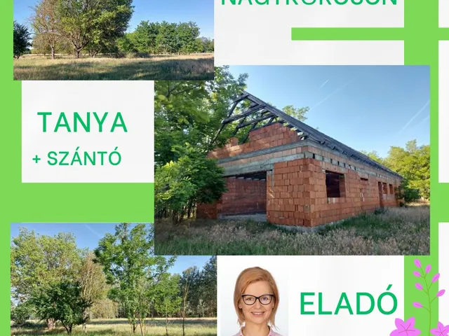 Eladó mezőgazdasági ingatlan Nagykőrös 146 nm