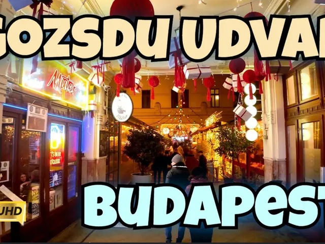 Kiadó kereskedelmi és ipari ingatlan Budapest VII. kerület, Belső-Erzsébetváros 300 nm