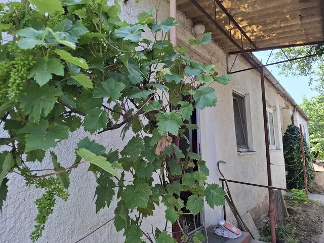 Eladó ház Üllő 115 nm