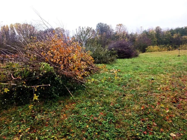 Eladó telek Balatonszárszó 1700 nm