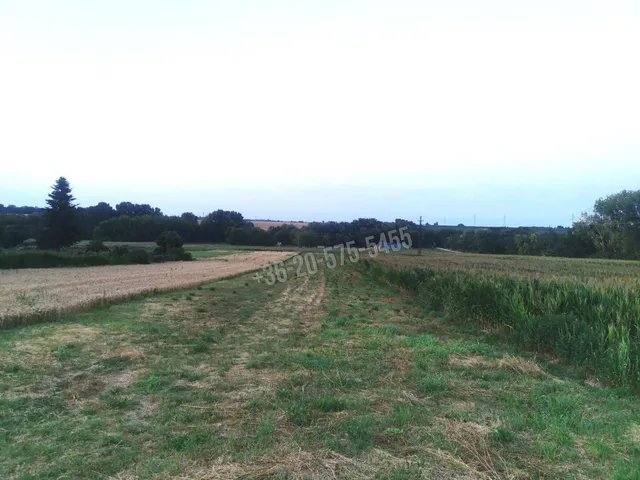 Eladó telek Zamárdi, Kőhegy 3433 nm