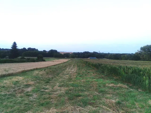 Eladó telek Zamárdi, Kőhegy 3433 nm