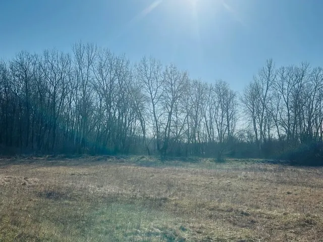 Eladó mezőgazdasági ingatlan Debrecen 1 nm