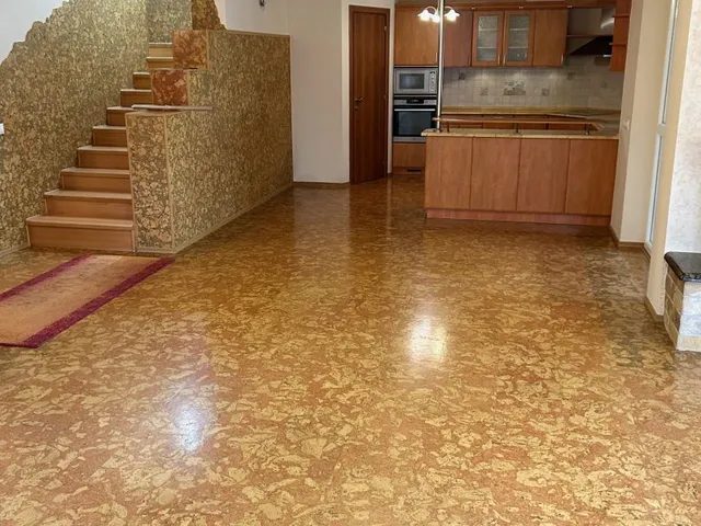 Kiadó ház Debrecen, Tócóliget 191 nm