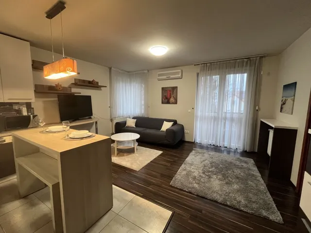 Kiadó lakás Debrecen, Nagyerdő 63 nm