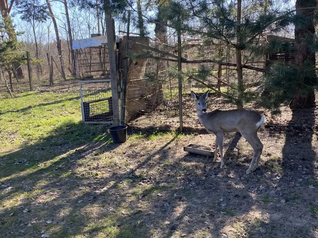 Eladó mezőgazdasági ingatlan Debrecen 7147 nm