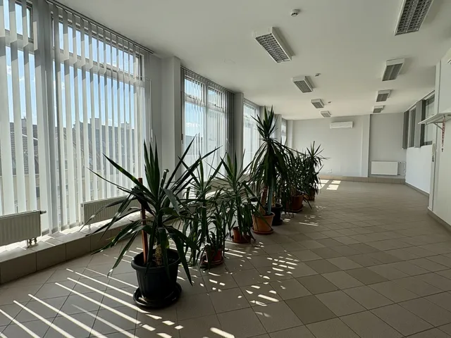 Kiadó kereskedelmi és ipari ingatlan Debrecen, Belváros 82 nm