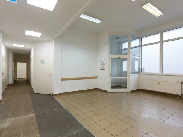 Kiadó kereskedelmi és ipari ingatlan Debrecen, Belváros 287 nm