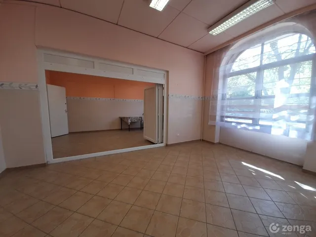Kiadó kereskedelmi és ipari ingatlan Debrecen, Tócóskert 220 nm