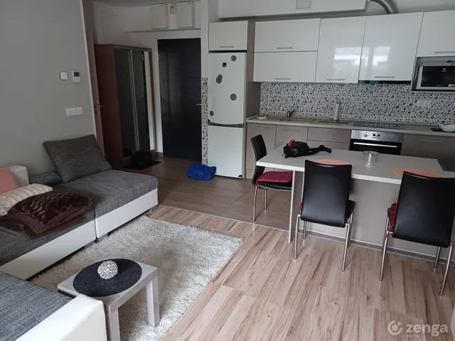 Kiadó lakás Debrecen, Nagyerdő 44 nm