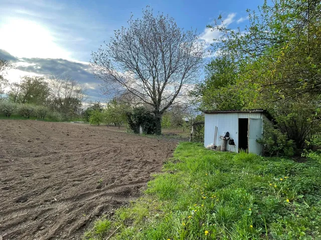 Eladó telek Nyíregyháza, Felsőpázsit 2217 nm