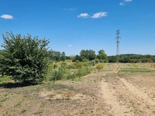 Eladó ház Nyíregyháza, Oros 184 nm