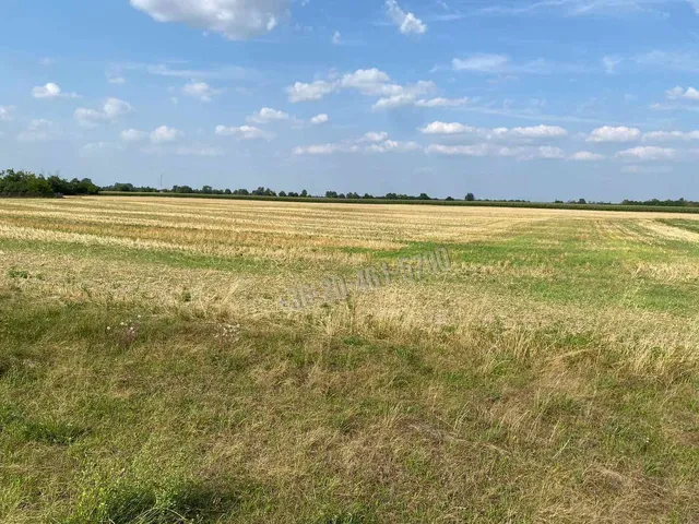 Eladó telek Mezőörs 1774 nm