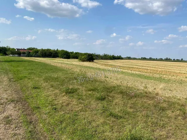 Eladó telek Mezőörs, Mindszentpuszta 1774 nm