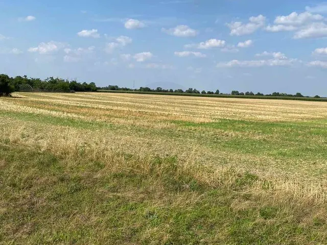 Eladó telek Mezőörs, Mindszentpuszta 1774 nm