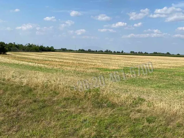 Eladó telek Mezőörs 1774 nm