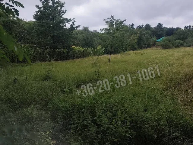 Eladó telek Győrság 1499 nm