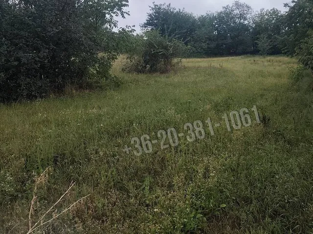 Eladó telek Győrság, Kossuth utca 1499 nm