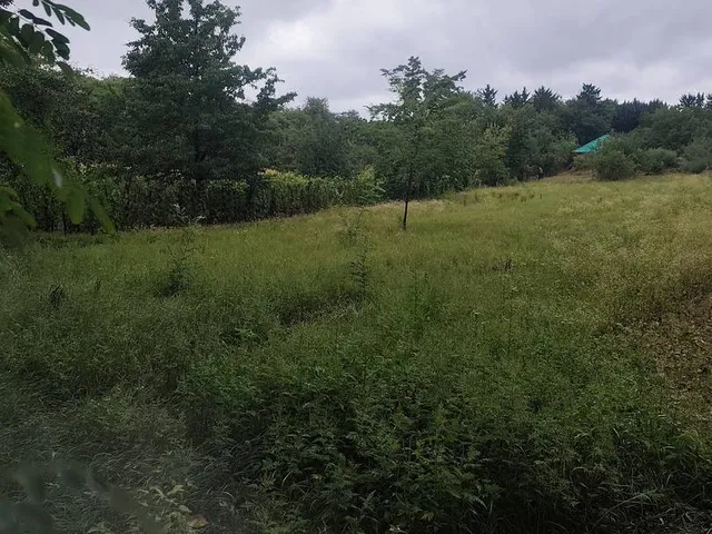 Eladó telek Győrság 1499 nm