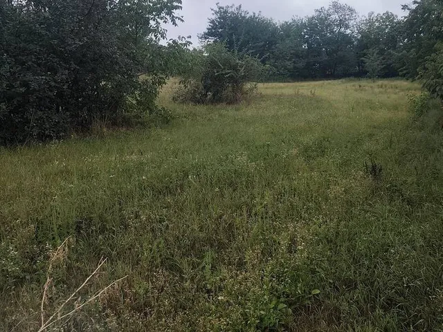 Eladó telek Győrság 1499 nm