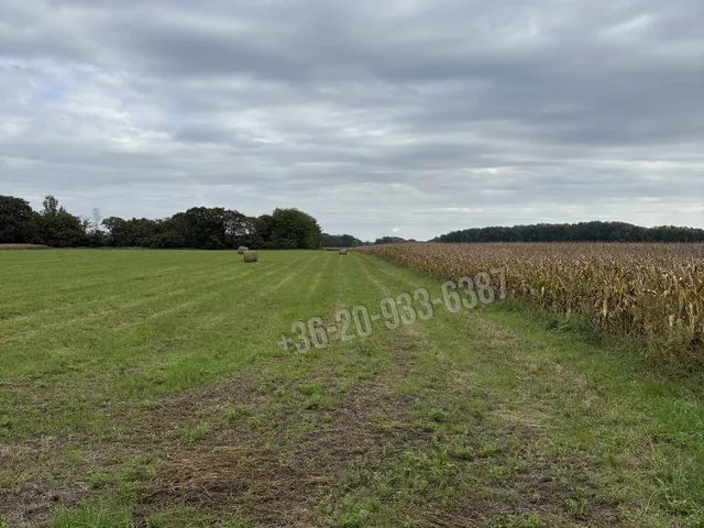Eladó telek Abda, Zöldmező utca  1169 nm