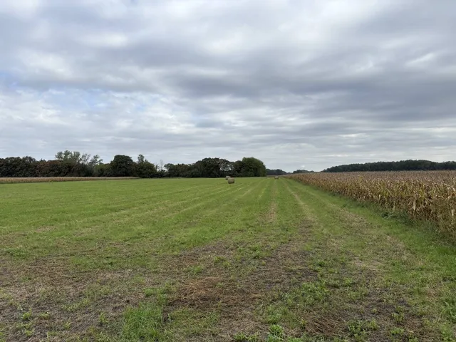 Eladó telek Abda 1169 nm