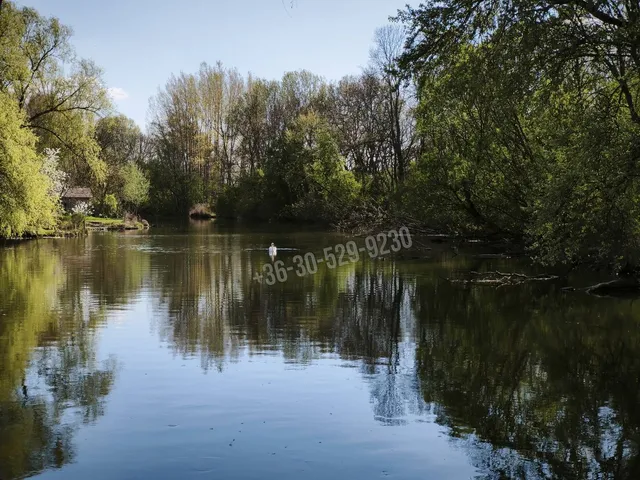Eladó ház Dunasziget 220 nm