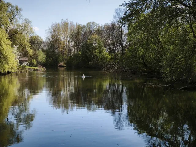 Eladó ház Dunasziget 220 nm