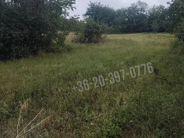 Eladó telek Győrság 1499 nm