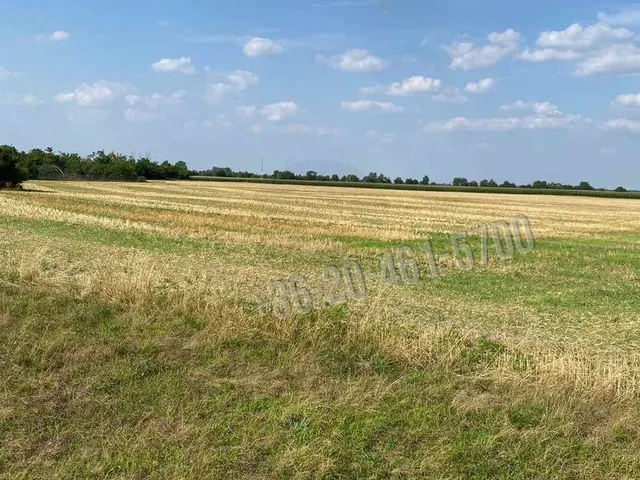 Eladó telek Mezőörs, Mindszentpuszta 1774 nm