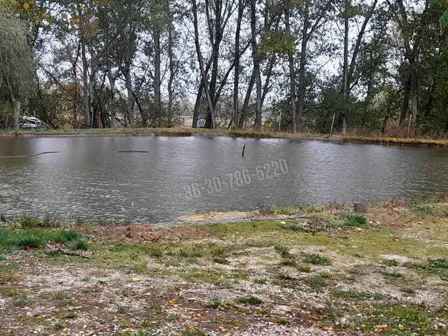 Eladó mezőgazdasági ingatlan Dunakeszi 25693 nm