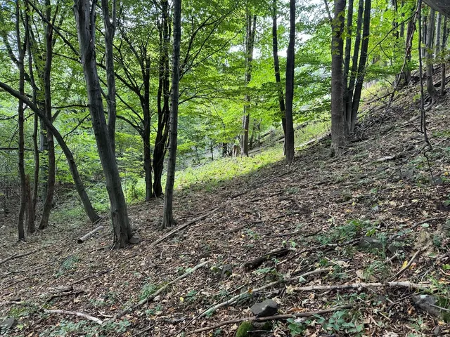 Eladó telek Mátraszentimre, Galyatető 1362 nm