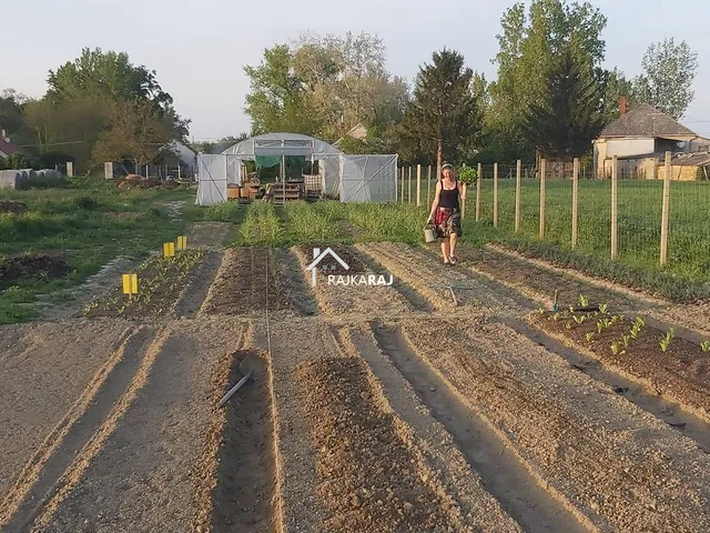 Eladó telek Dunasziget 6652 nm