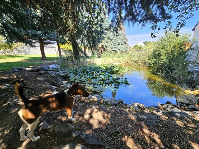 Eladó ház Rajka 120 nm