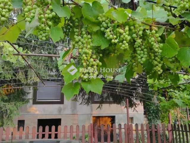 Eladó ház Zalahaláp 55 nm