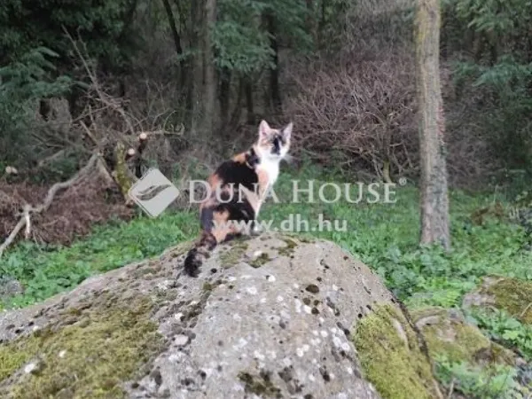 Eladó ház Zalahaláp 55 nm