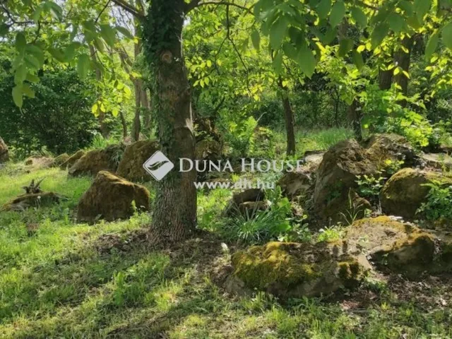 Eladó ház Zalahaláp 55 nm