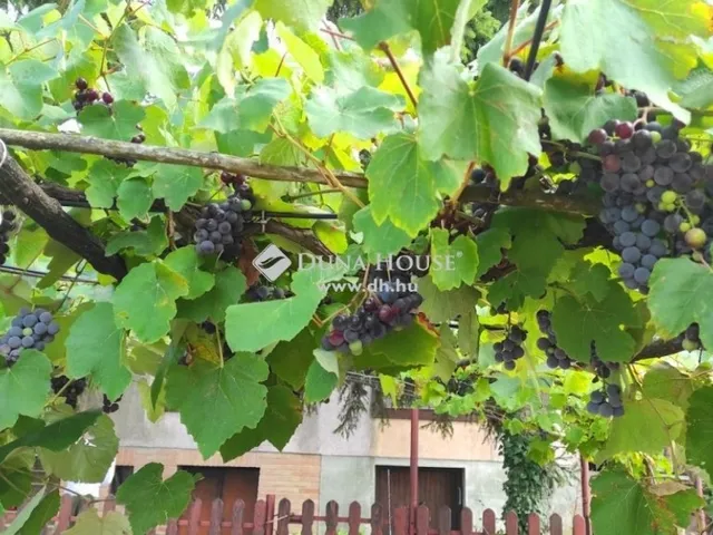 Eladó ház Zalahaláp 55 nm