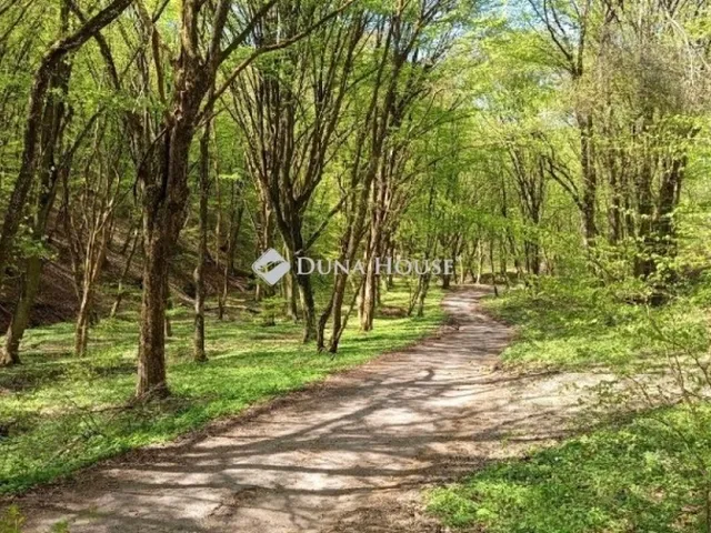 Eladó telek Kismaros, Börzsönyliget 1136 nm