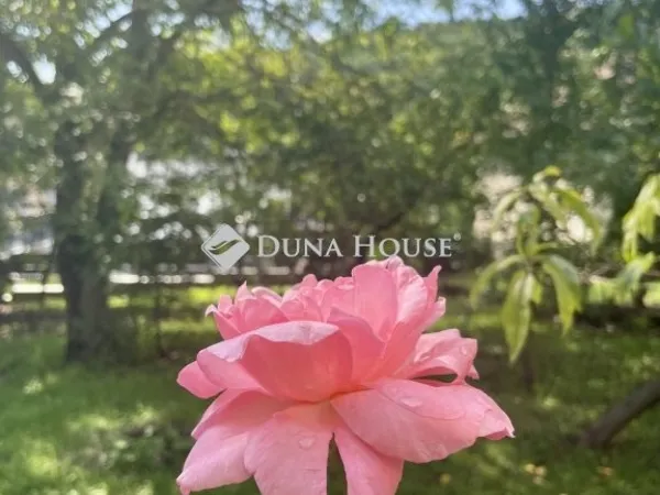 Eladó ház Salgótarján 92 nm