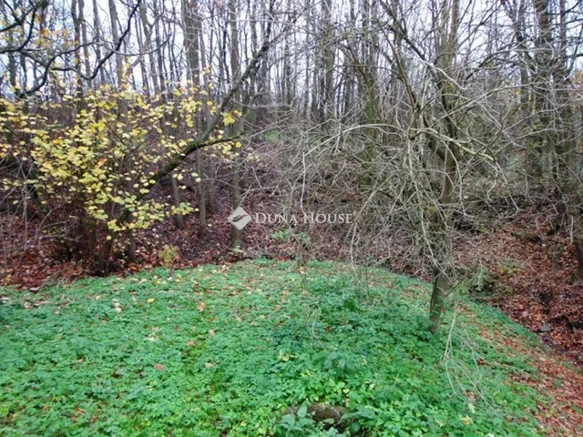 Eladó ház Márianosztra 62 nm