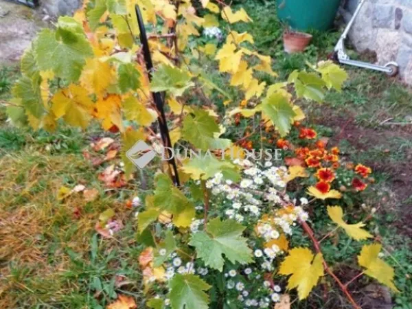 Eladó ház Márianosztra 62 nm