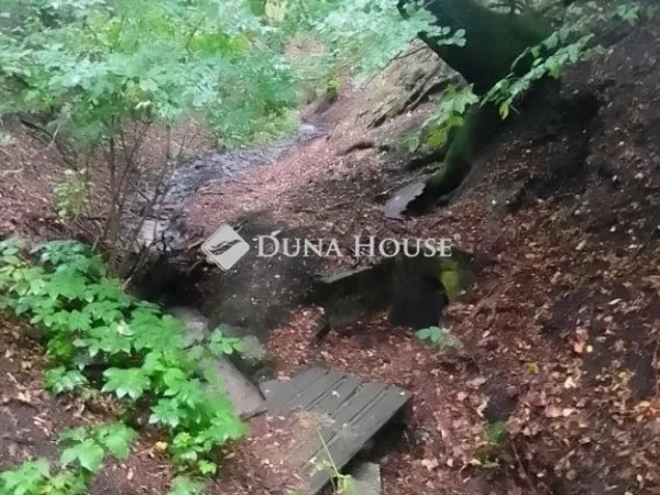 Eladó ház Márianosztra 62 nm