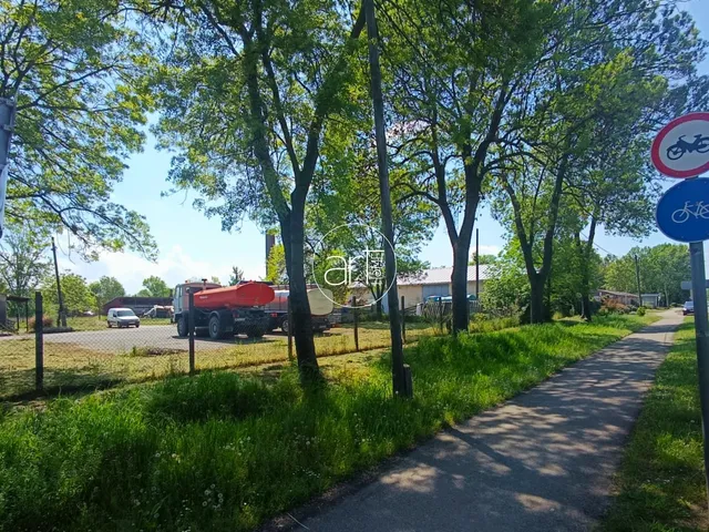 Kiadó kereskedelmi és ipari ingatlan Hódmezővásárhely 350 nm
