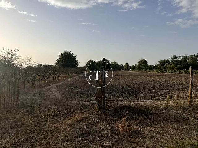 Eladó mezőgazdasági ingatlan Domaszék 6014 nm