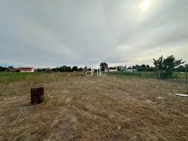 Eladó telek Mórahalom, Pacsirta dűlő  1439 nm