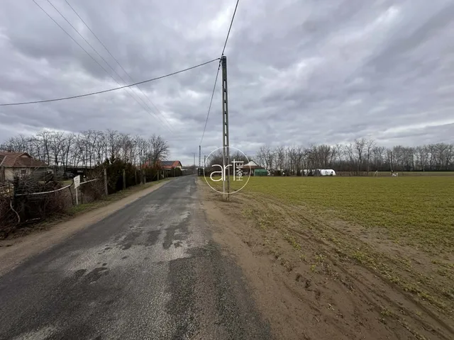 Eladó mezőgazdasági ingatlan Domaszék 6241 nm